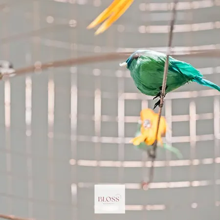 Cloud 16 By Bloss 奥斯滕德