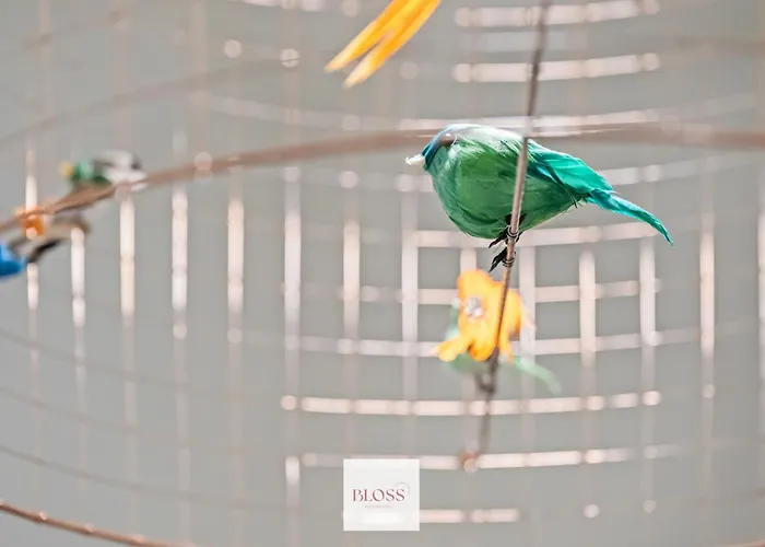 Cloud 16 By Bloss 奥斯滕德